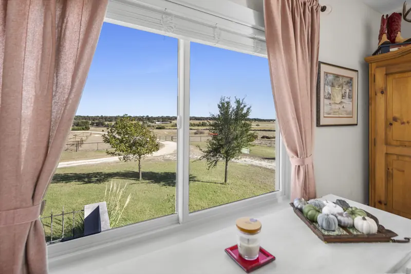 White sliding window framing trees and pasture