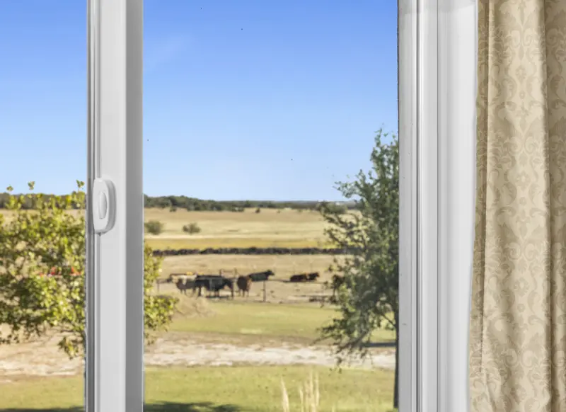 White sliding window looking out to cattle in the pasture